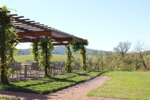 The view at Chrysalis Vineyards, read the review @ bestwithchocolate.com