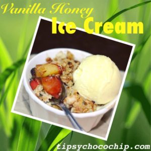 vanilla Honey Ice Cream @ bestwithchocolate.com