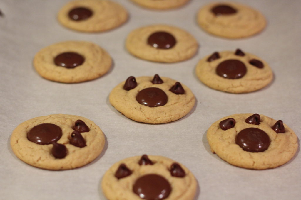 Adding chocolate chips to Bear Paw Cookies @ bestwithchocolate.com