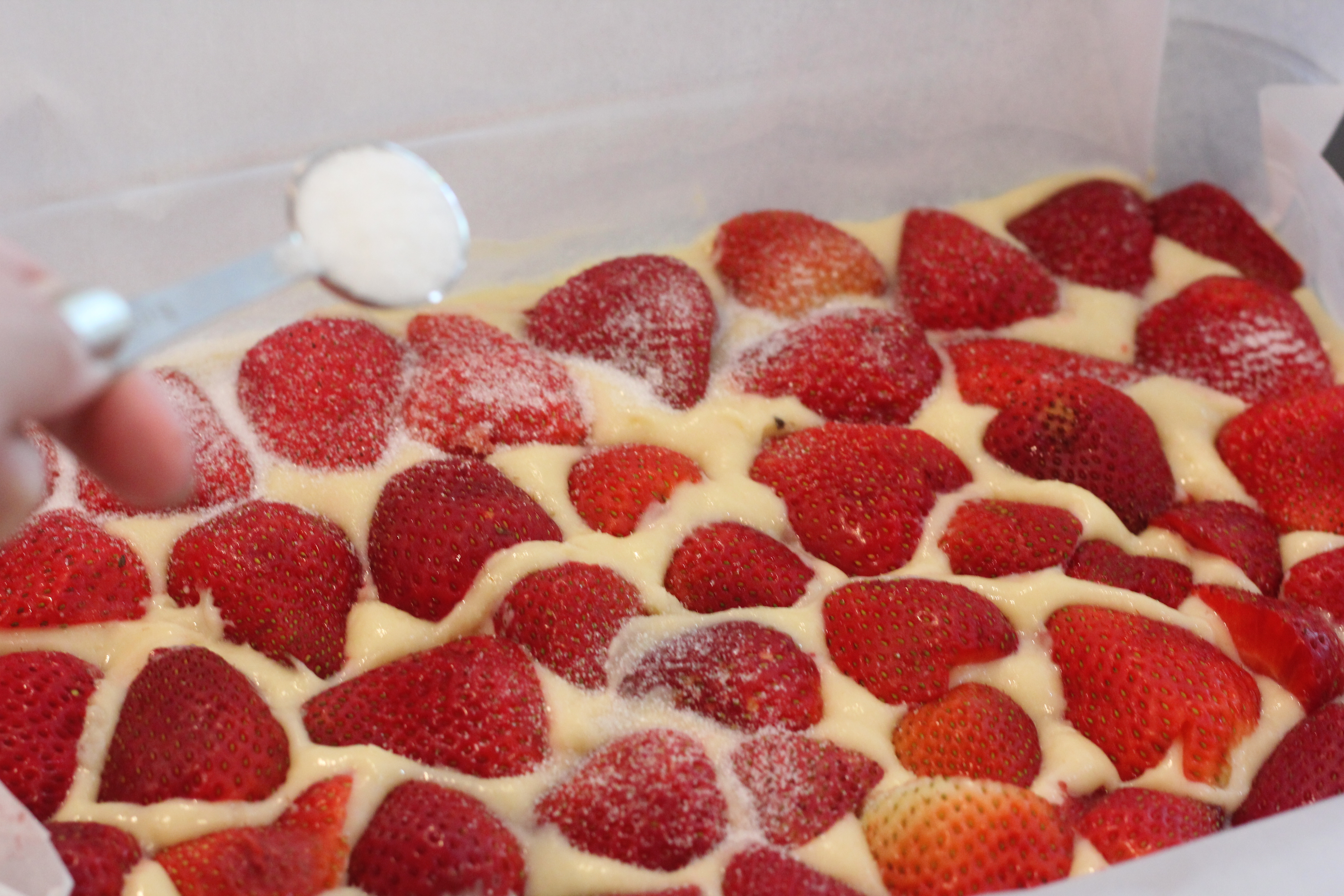 Topping cake with sugar for Strawberry Sheet Cake @ bestwithchocolate.com