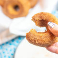 apple cider doughnut with a bite taken out of it