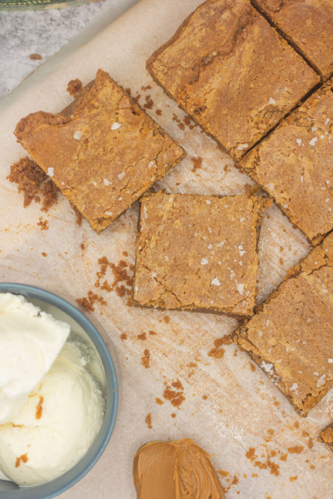 Assorted biscoff blondies and a bowl of ice cream