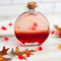 Halloween cocktail in a potion bottle, with a red layer at the bottom topped with clear liquid