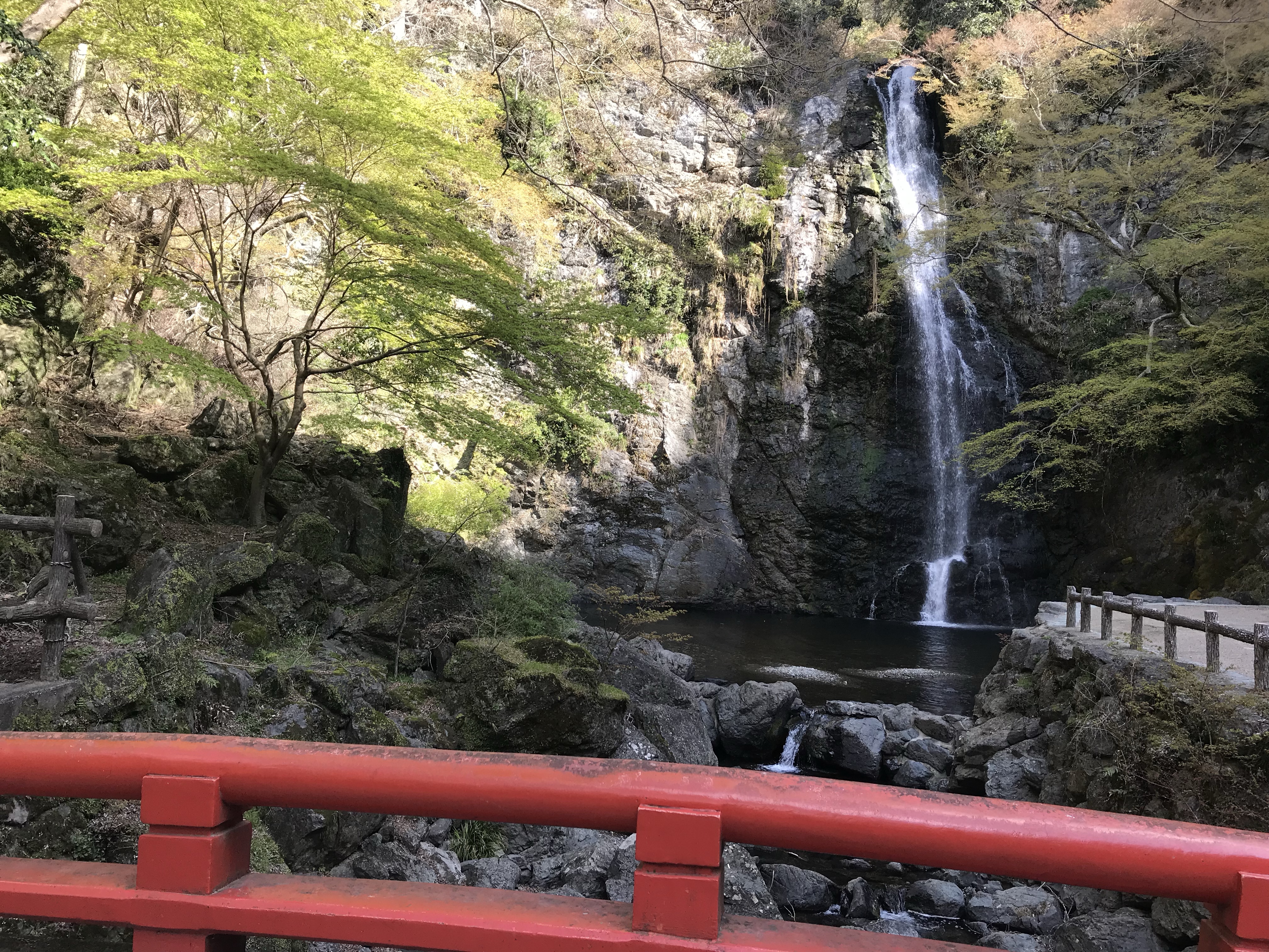 Gorgeous waterfall in Osaka, Japan, a small hike from our ryokan (traditional Japanese inn)