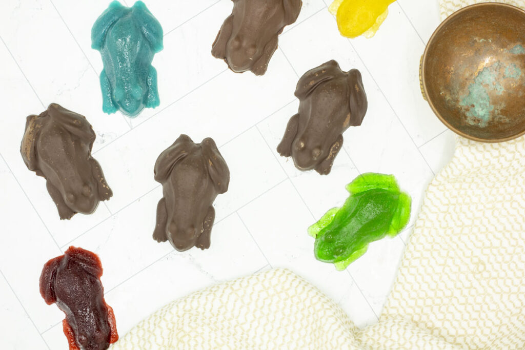 Assorted chocolate frogs with four jelly centers--one each for the Hogwarts houses!