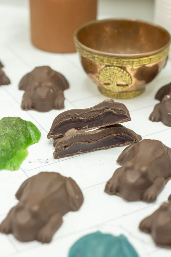Gryffindor red jellied chocolate frog split in half among other chocolate frogs