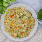 Bowl of chicken pot pie orzo