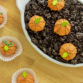 Pumpkin patch pumpkin spice truffles