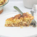 A slice of snickerdoodle pie